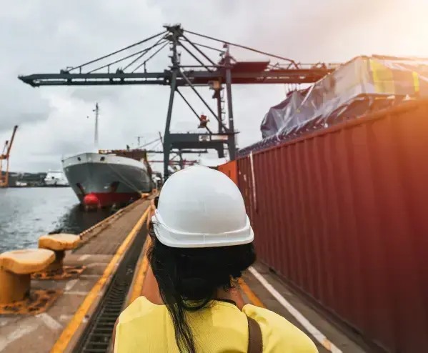 Sea Freight Service By Quickfly