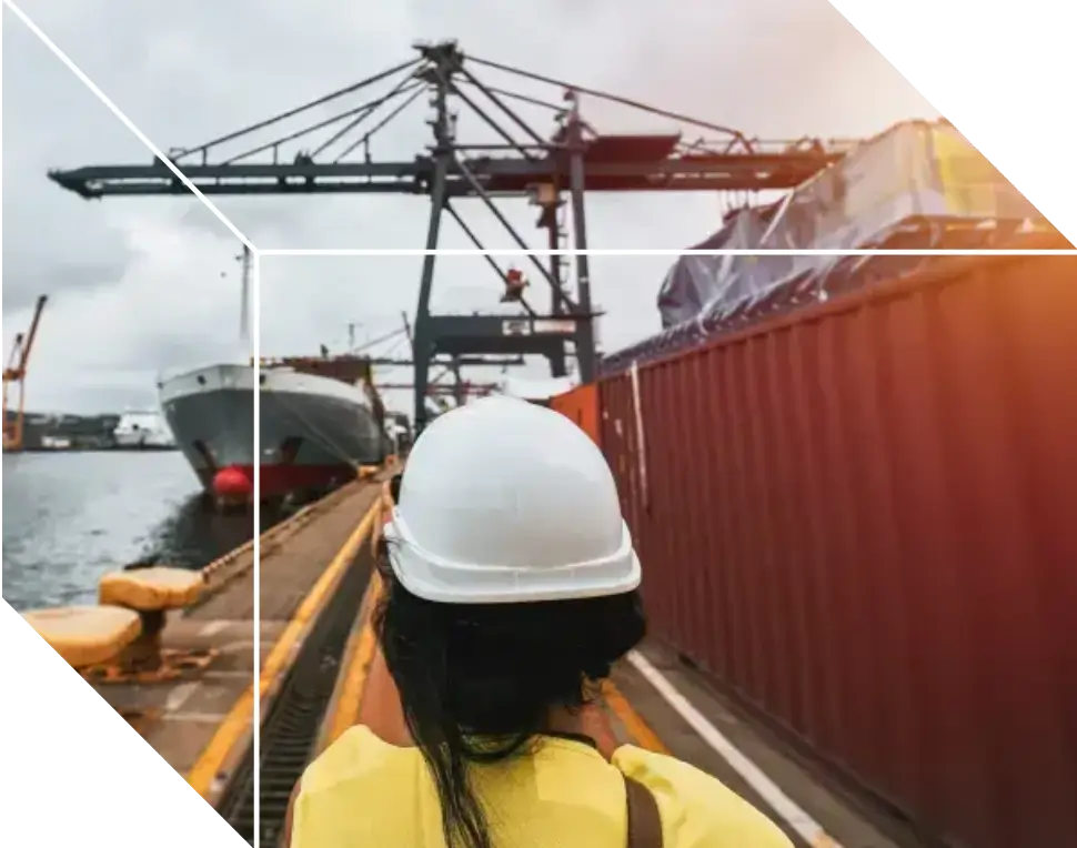 Sea Freight Service By Quickfly